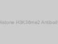 Histone H3K36me2 Antibody